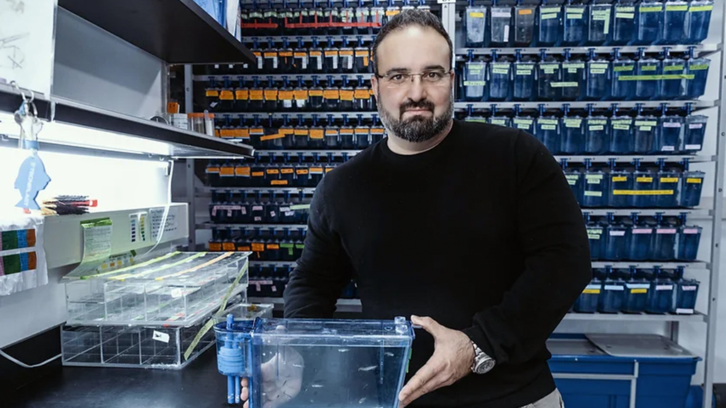 Dr. Yaniv Elkouby